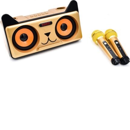 Σύστημα Karaoke με Ασύρματα Μικρόφωνα SDRD 305