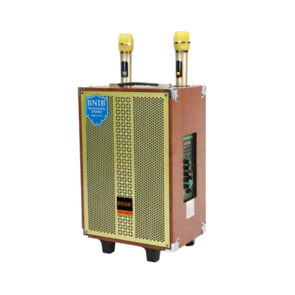 Karaoke Ηχείο 150watt + BLUETOOTH + 2 ασύρματα μικρόφωνα 8”(ιντσών)
