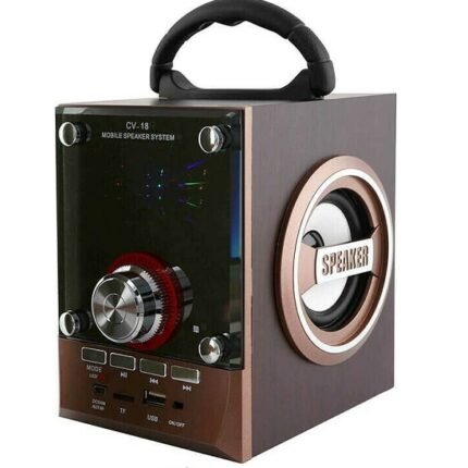 Ηχείο Karaoke λειτουργία CV-18 σε Καφέ Χρώμα