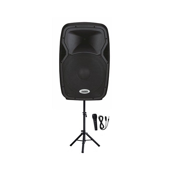 Audien Αυτοενισχυόμενο Ηχείο PA SM-3315A20 120W με Woofer 15"